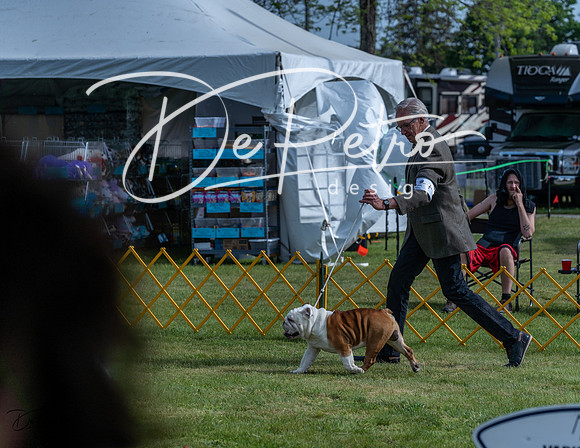 20230513-DSC00448