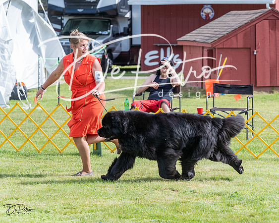20230513-DSC00993