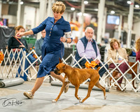 20261022-DSC01527