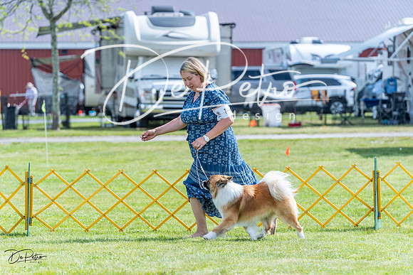 20230512-DSC05472