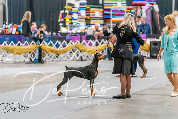 20260930-DSC06946
