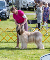 20230513-DSC01237