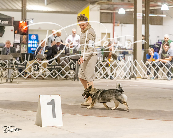 20230401-DSC08037