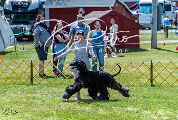20230513-DSC09159