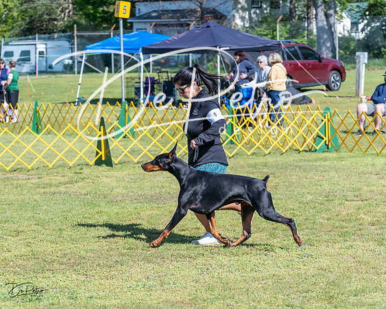 20230514-DSC03107