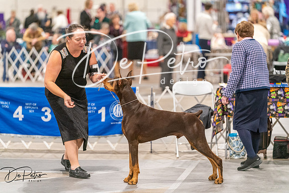 20261024-DSC00565