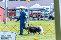 20230512-DSC05424