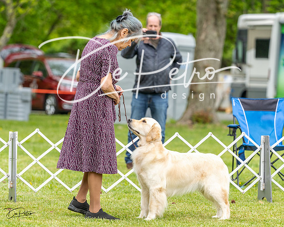 20230427-DSC03720