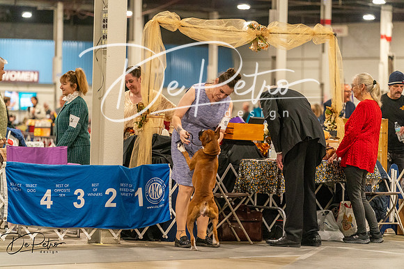 20261023-DSC05318