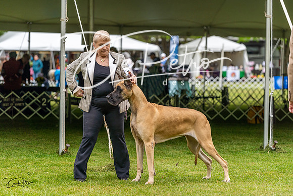 20230427-DSC02964