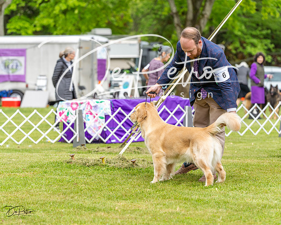 20230427-DSC03661