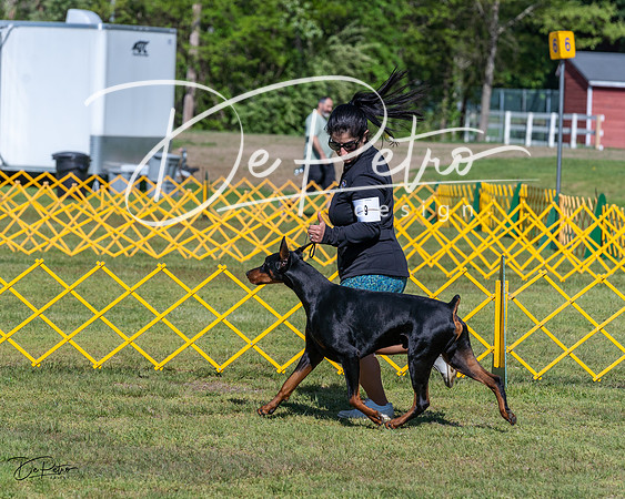 20230514-DSC02971