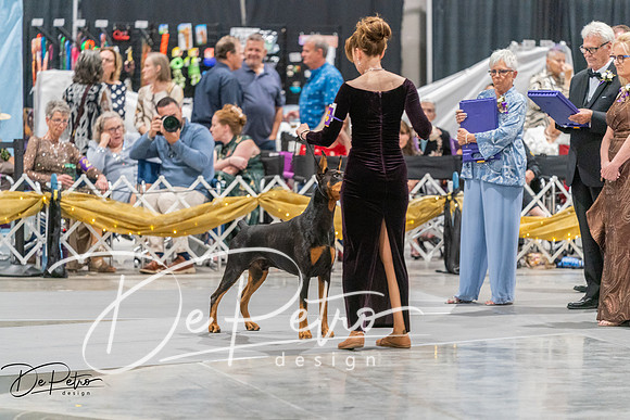 20260928-DSC06199