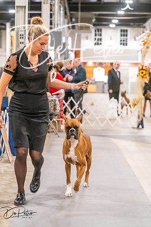 20261024-DSC08320