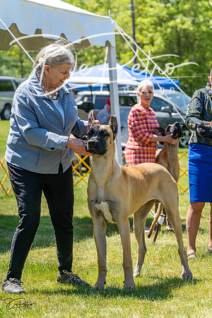 20230514-DSC07995