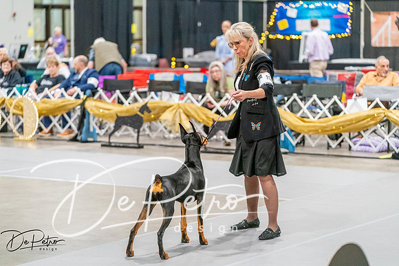 20260930-DSC06879