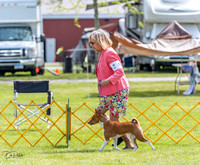 20230513-DSC09377