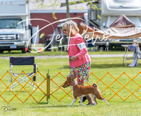 20230513-DSC09377