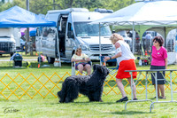 20230512-DSC05312