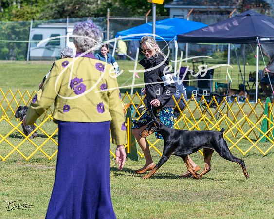20230514-DSC03431