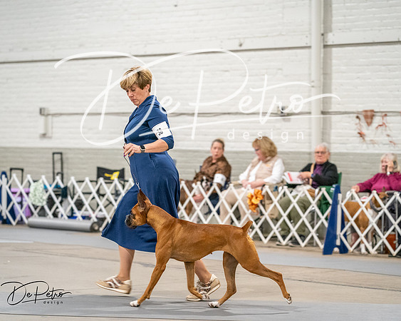 20261022-DSC03240