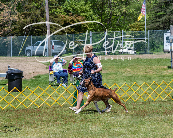 20230514-DSC03886