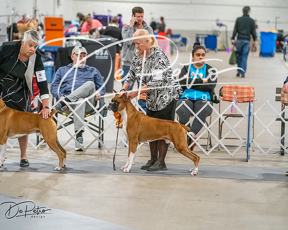 20261022-DSC02095