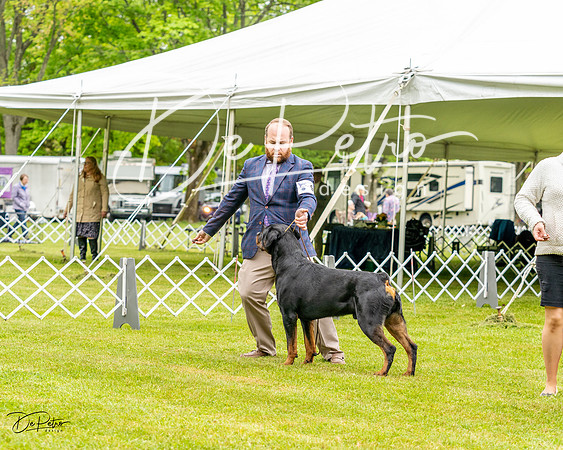 20230427-DSC02493