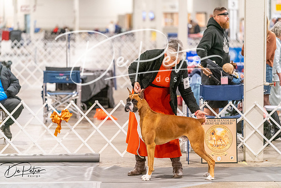 20261024-DSC08416