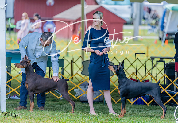 20230513-DSC08685