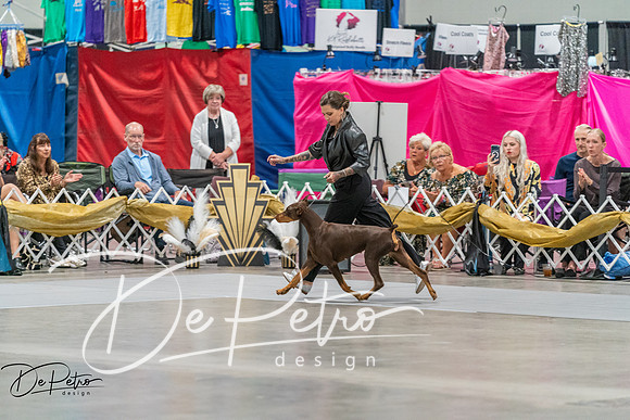 20260928-DSC05932