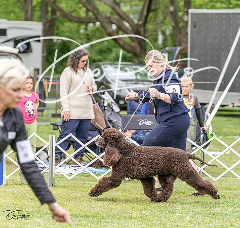 20230427-DSC06288