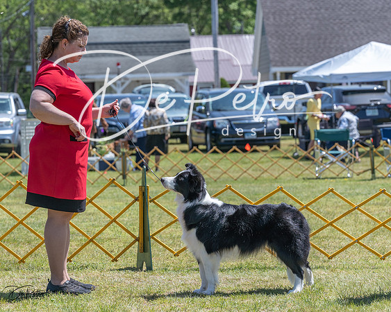 20230514-DSC04802