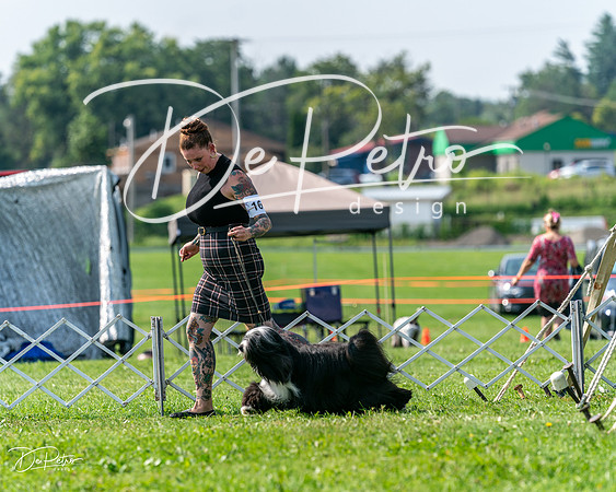 20240816-DSC00874