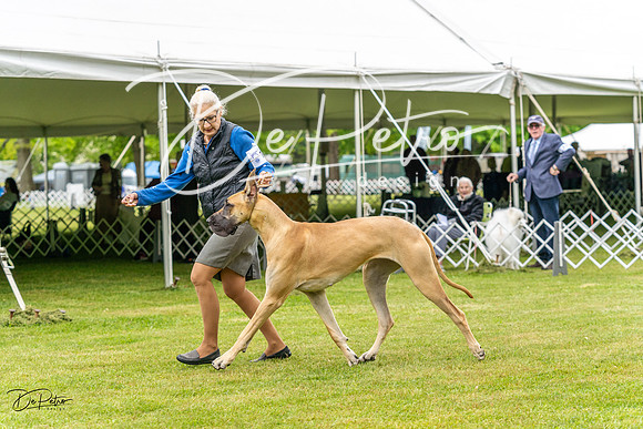 20230427-DSC02761
