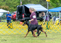 20230513-DSC08085