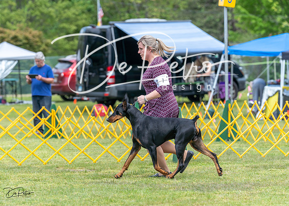 20230513-DSC08085