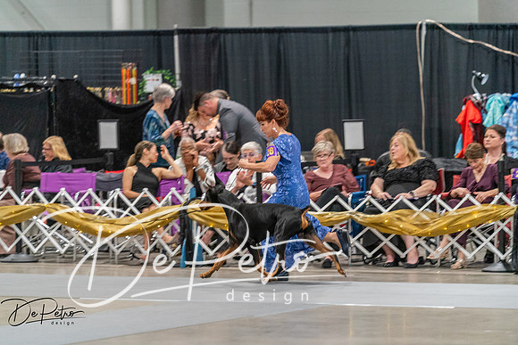 20260928-DSC06324