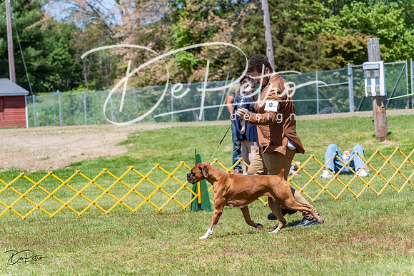 20230514-DSC04082