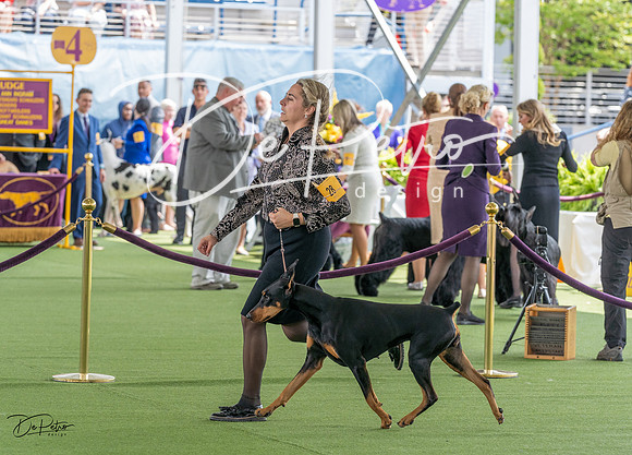 20230509-DSC01451