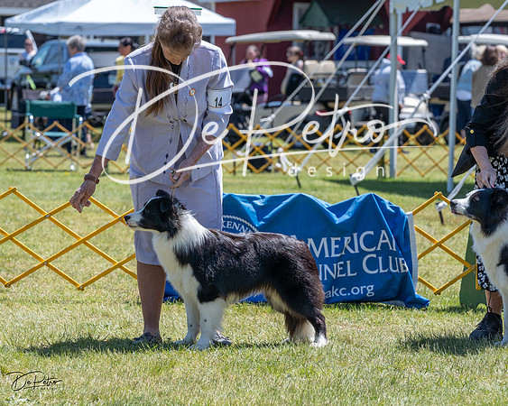 20230514-DSC04776