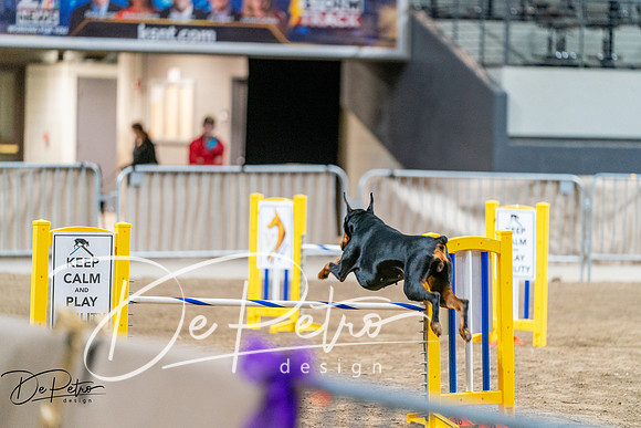 20260929-DSC06648