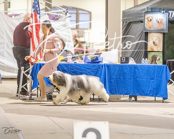 20230401-DSC07942