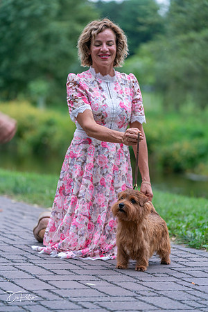 20260912-DSC03360