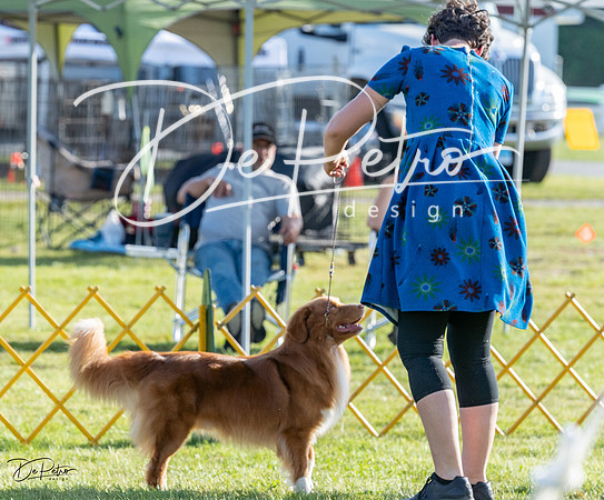 20230513-DSC02483