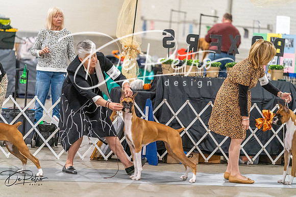 20261022-DSC00229