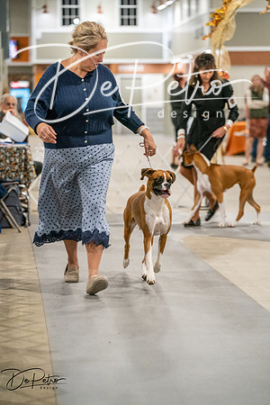 20261022-DSC03029