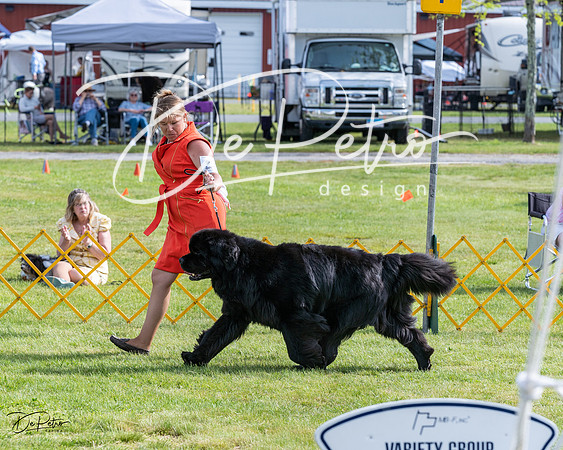 20230513-DSC00963