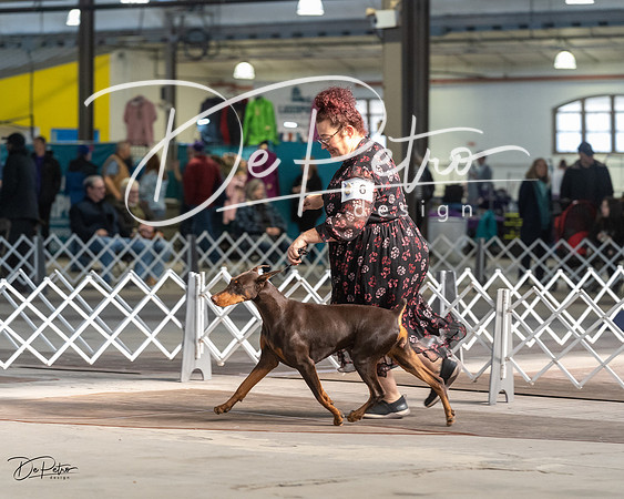 20230402-DSC08680