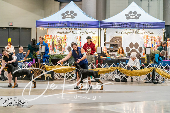 20261002-DSC07429
